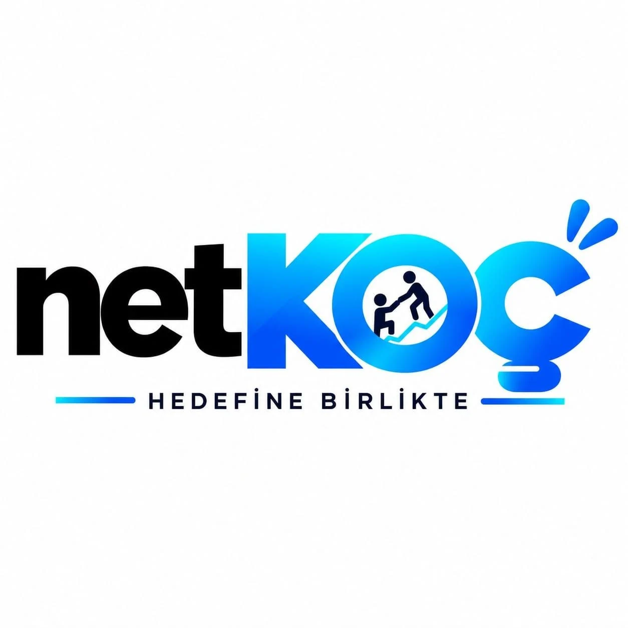 netKOÇ Birebir Koçluk